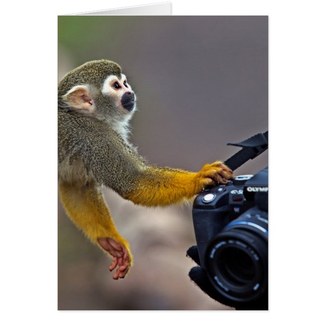 Go on! let me take the shot (Front)