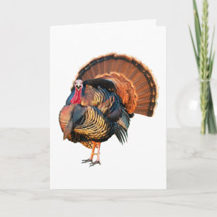 Go Stuff Yourself Holiday Card