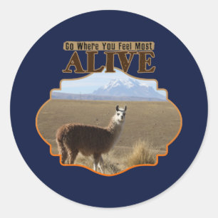 Go Where You Feel Most Alive Llama Adventurer Classic Round Sticker
