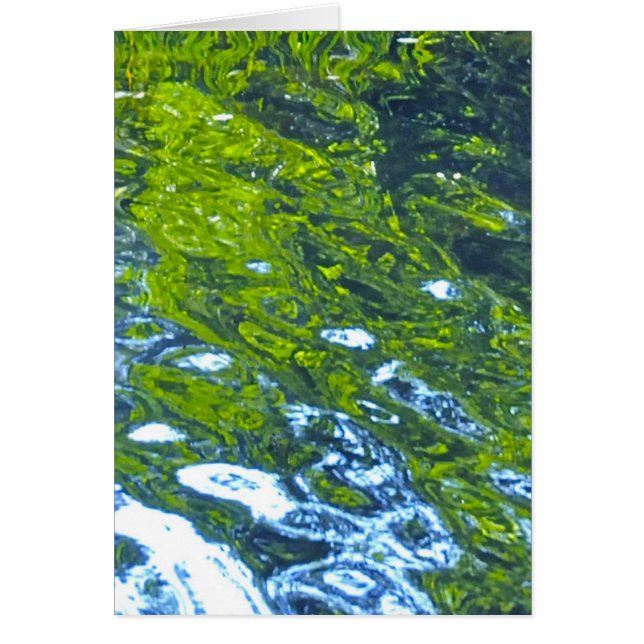 Go With The Flow! (Front)