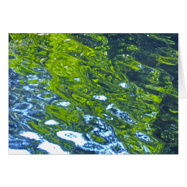 Go With The Flow! (Front Horizontal)