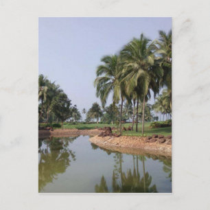 Goa India Postcard