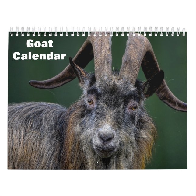 Goat 2027 calendar (Cover)
