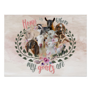 GOAT ART   Home is Where My Goats Are GetYerGoat Poster