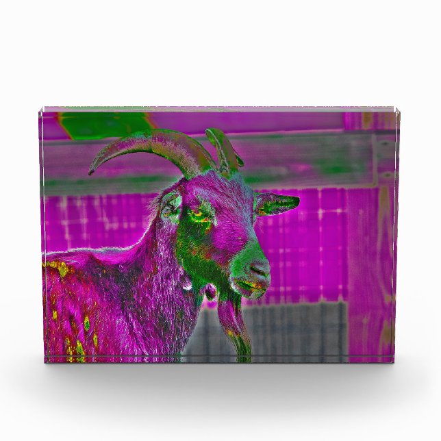 Goat Art Photo Block (Front)