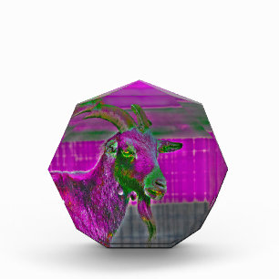 Goat Art Photo Block