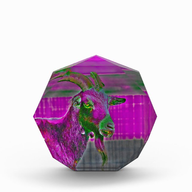 Goat Art Photo Block (Front)