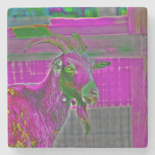 Goat Art Stone Coaster