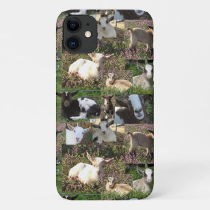 Goat Baby Kid Farm Barnyard Animals Case-Mate iPhone Case