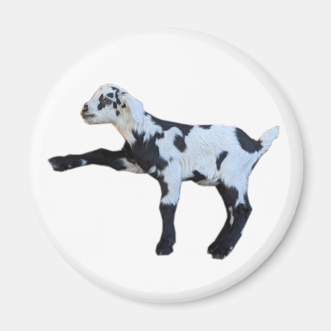 Goat baby magnet (Front)