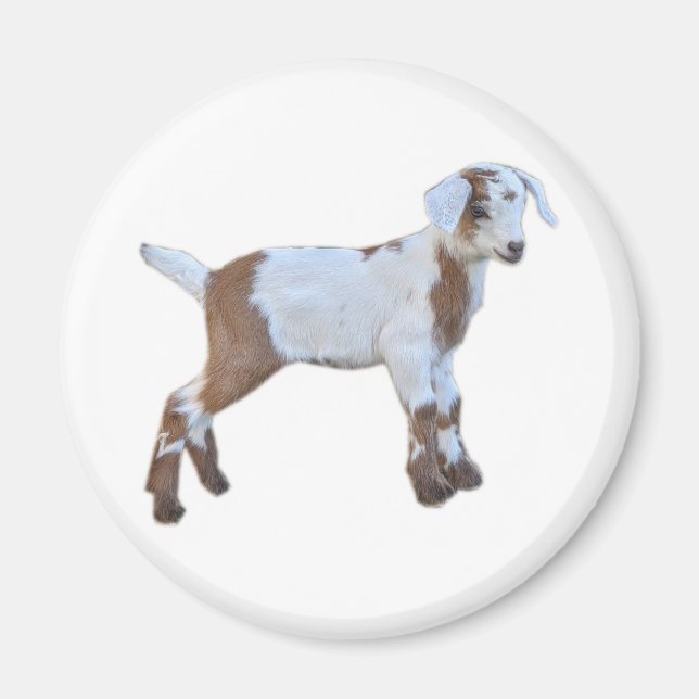Goat baby magnet (Front)