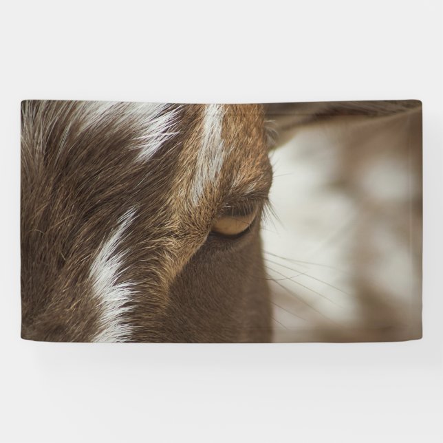 Goat Banner (Horizontal)
