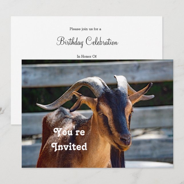 Goat Black Brown Horns Animal Photo Birthday Invitation (Front/Back)