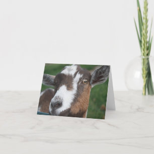 Goat Blank card