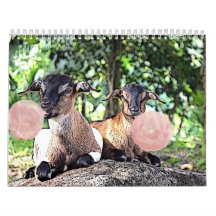 GOAT | Bubblegum Watercolor Painting Goat Calendar