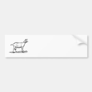 Goat Bumper Sticker