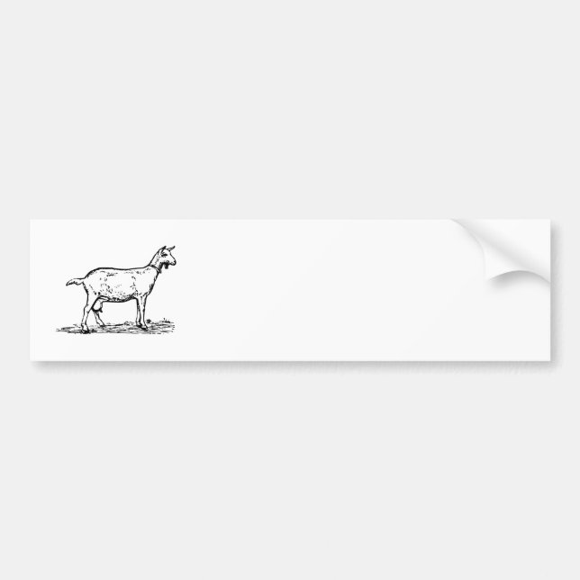 Goat Bumper Sticker (Front)