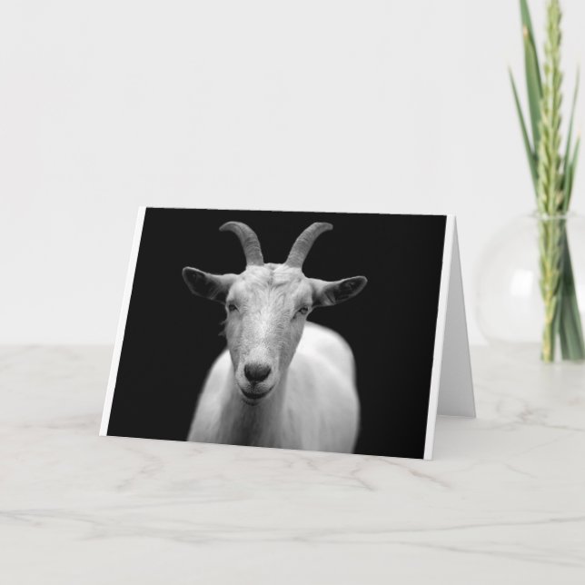 Goat Card (Front)