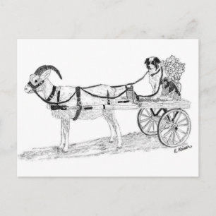 Goat Cart with Shepherd Dog and Flowers Postcard