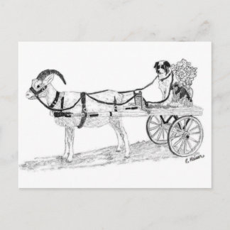 Goat Cart with Shepherd Dog and Flowers Postcard