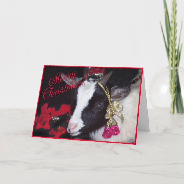 Goat Christmas Card Rufus (Front)
