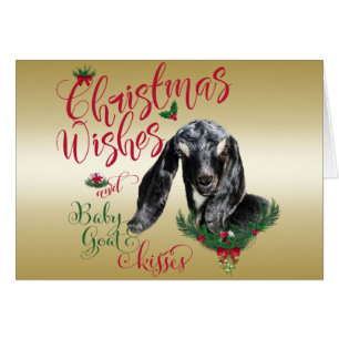 GOAT   Christmas Wishes Baby Goat Kisses Nubian