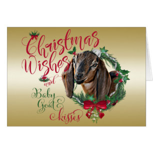 GOAT   Christmas Wishes Baby Goat Kisses Nubian 3