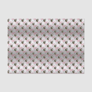 GOAT   Christmas Wishes Baby Goat Kisses Nubians Tissue Paper