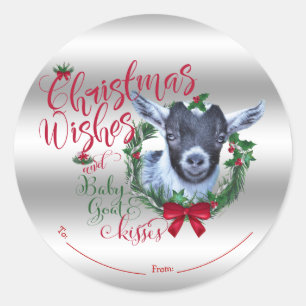 GOAT   Christmas Wishes Baby Goat Kisses Pygmy Classic Round Sticker
