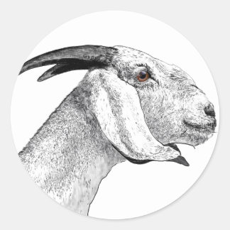 GOAT CLASSIC ROUND STICKER