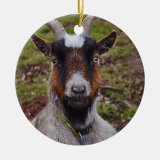 Goat close up. ceramic tree decoration