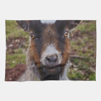 Goat close up. tea towel