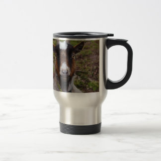Goat close up. travel mug