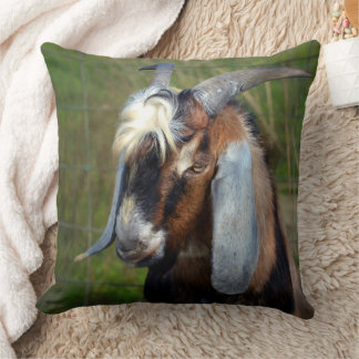 Goat. Cushion