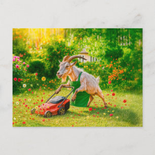Goat Destroys Garden with Lawnmower Holiday Postcard