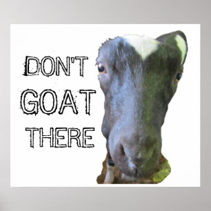 Goat "DON'T GOAT THERE" Poster