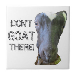 Goat "DON'T GOAT THERE!" Tile
