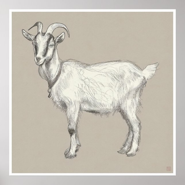 Goat Drawing - Archival Print (Front)