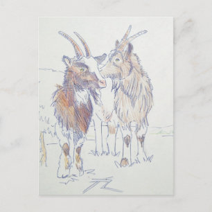 Goat drawing - The siblings Postcard
