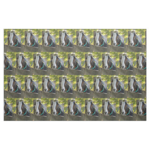 Goat fabric