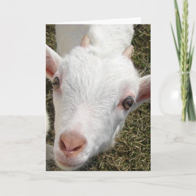 Goat Face Card (Front)