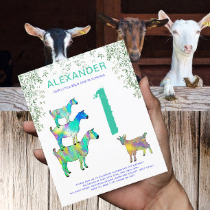 Goat Farm Animal Wild One Birthday Party Budget