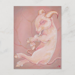 Goat foetus creepy oddity gothic lowborw postcard