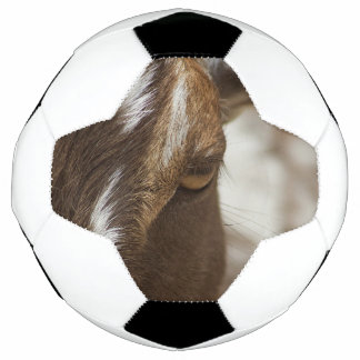 Goat Football