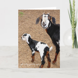 goat, glorydaysphotography card