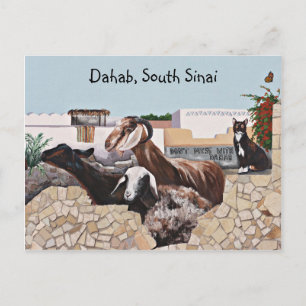 Goat Greetings III Postcard