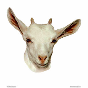 Goat Head Standing Photo Sculpture