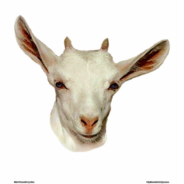 Goat Head Standing Photo Sculpture (Front)