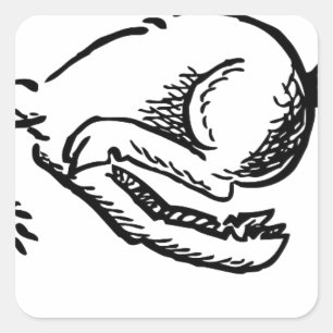 Goat horn ram custom personalise Anniversaries Square Sticker