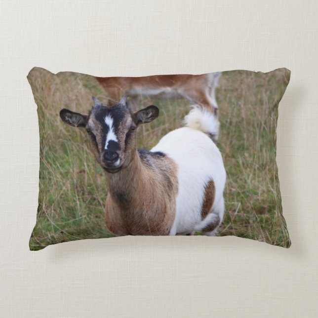 Goat in a field decorative cushion (Front)